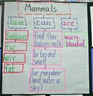 3 Graphic Organizers for Formative Assessment 2 IMG 3091 graphic organizers