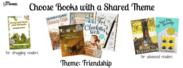 Easy Novel Study Organization Ideas for Classroom Book Clubs 2 ThirdWheelSharedTheme novel study organization