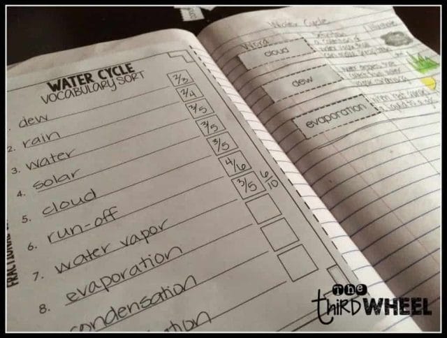 Building Science Vocabulary through Word Work