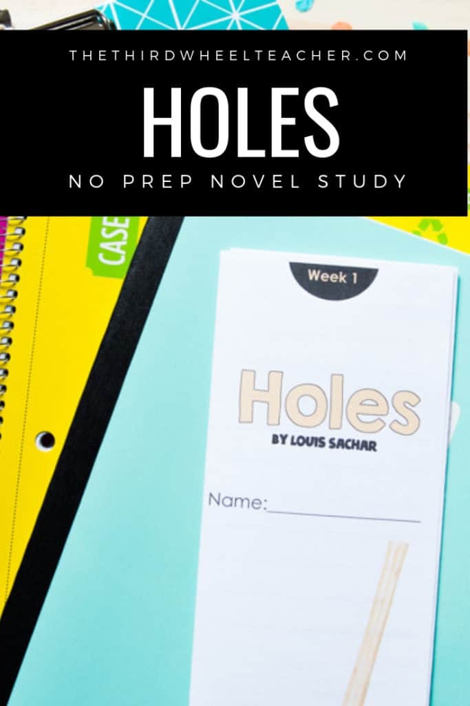 HOLES READING LESSONS NOVEL STUDY & INTERDISCIPLINARY ACTIVITY