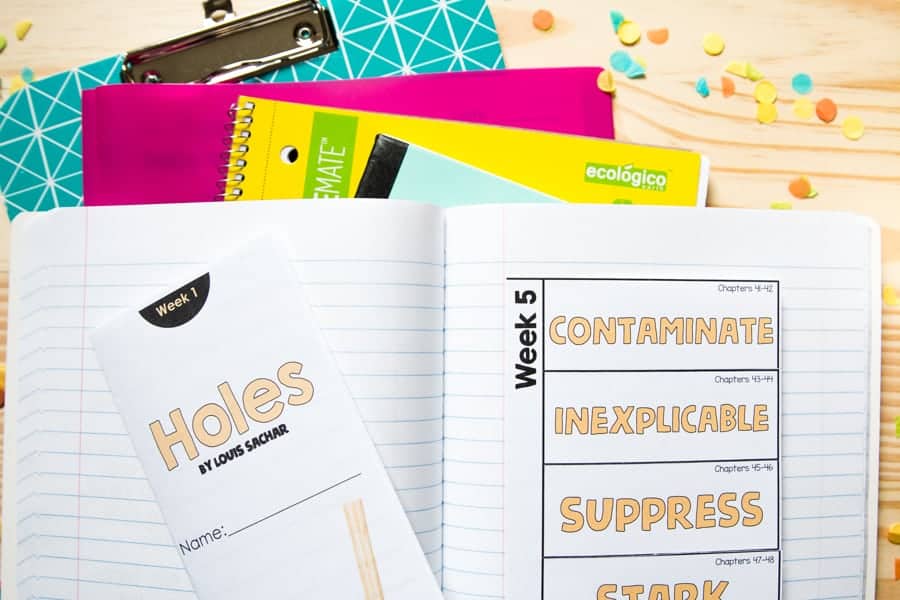 Holes Novel Study Vocabulary Foldable