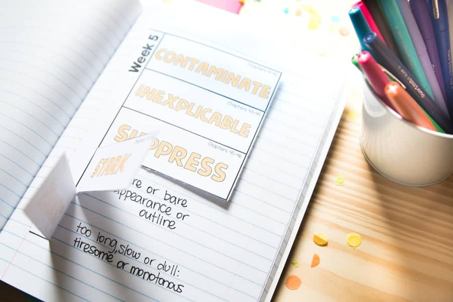 Holes Vocabulary Flipbook from Holes Novel Study Unit by The Third Wheel Teacher