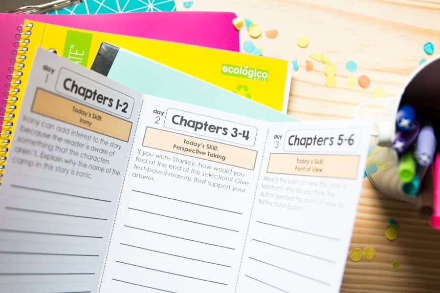 IMG 5543 Holes novel study unit