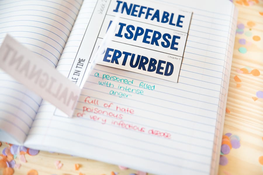 A Wrinkle in Time Novel Study Unit Your Learners Will Love 7 Wrinkle In Time Novel Study - Vocabulary Flip Book: This format is designed to help students internalize the meaning of new vocabulary from the classic novel A Wrinkle in Time. The daily focus on a single text-based word helps prevent overwhelm and encourage deeper understanding.