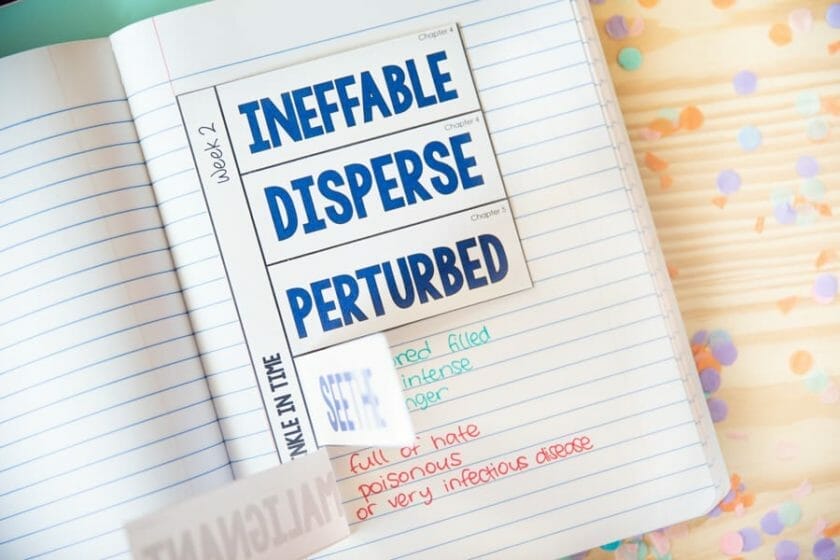 A Wrinkle in Time Novel Study Unit Your Learners Will Love 6 A Wrinkle in Time Vocabulary