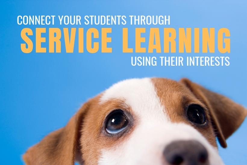 Service Learning to Build Community community building activities