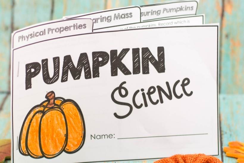 Pumpkin science notebook for documenting results and observations from Pumpkin STEM activities from Differentiated Teaching