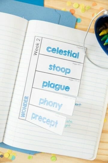 Wonder Vocabulary Flipbooks