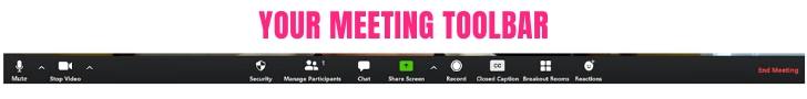 Zoom meeting Toolbar
