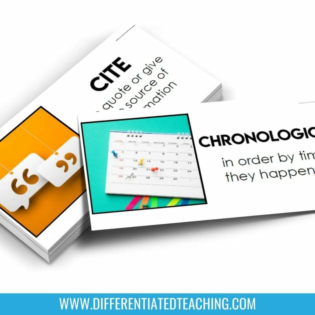 Visual Vocabulary differentiate your novel unit