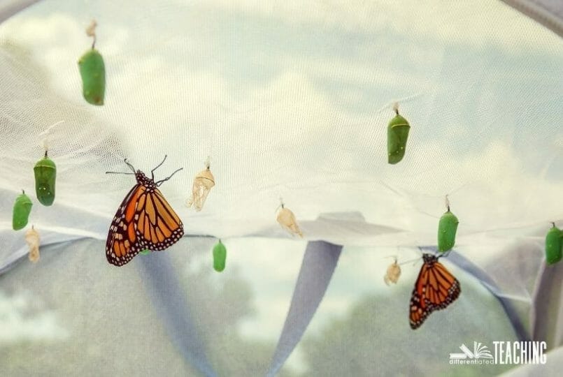 Fun march activities for elementary students