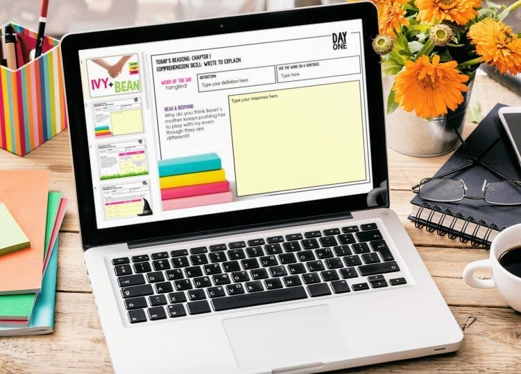 Books for 2nd grade readres - Ivy and Bean