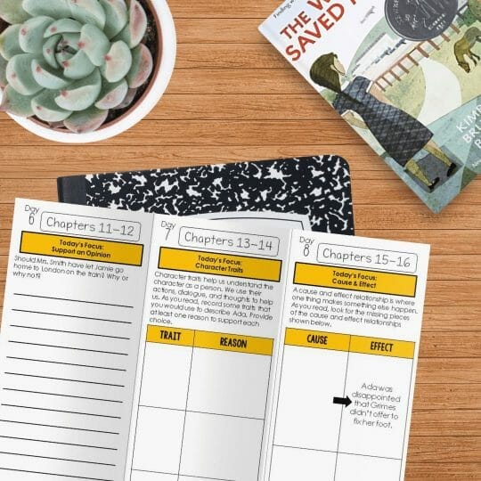 The Ultimate List of Books for 6th Grade Readers 6 The War That Saved My Life