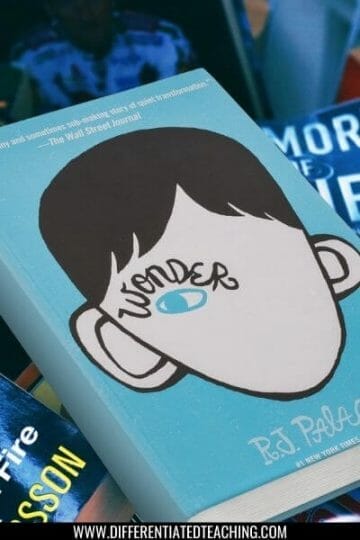 Best Books for 4th Grade Novel Study: 20+ Must-Reads Kids (and Teachers) Love 3 wonder novel by rj palacio