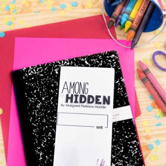 Among the Hidden Novel Study Guide: Lesson Plans, Resources & Activities
