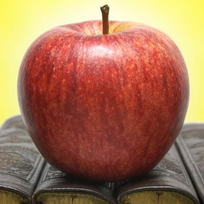 Back to School seasonal teaching ideas