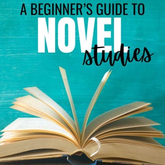 Beginner's Guide to Novel Studies