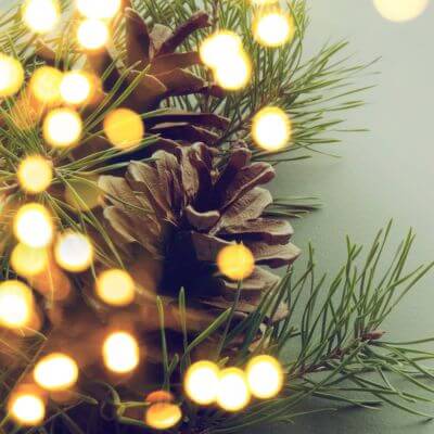 Christmas seasonal teaching ideas