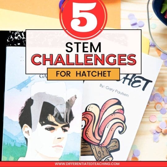 5 Epic STEM Activities for Hatchet by Gary Paulsen to Increase Engagement
