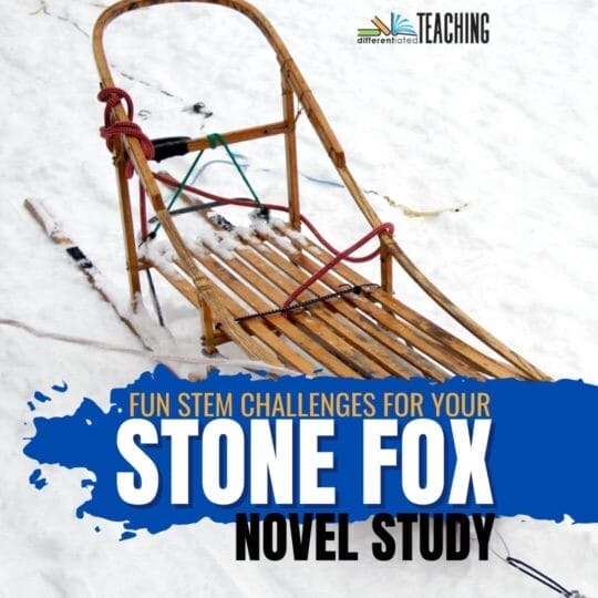 5 Fun Stone Fox Project Ideas & STEM Challenges for Your Novel Study Unit