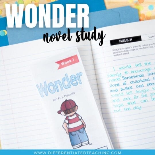 Wonder Novel Study: Comprehension & Vocabulary Activities