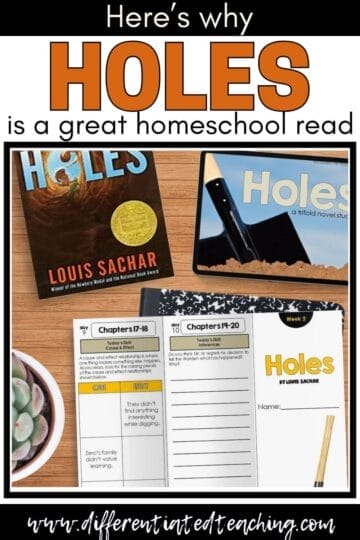 holes novel study
