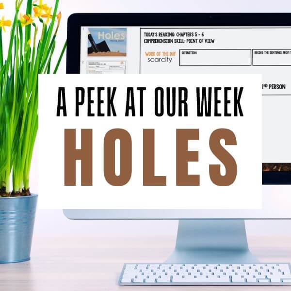 holes novel study