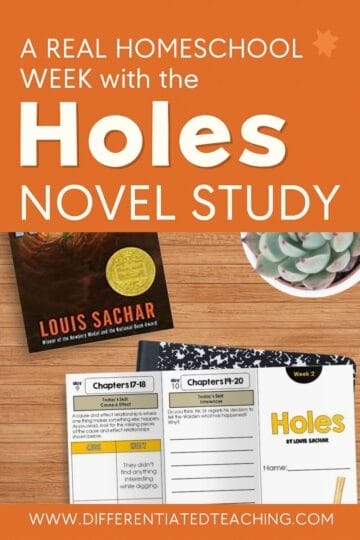 homeschooling with holes novel study
