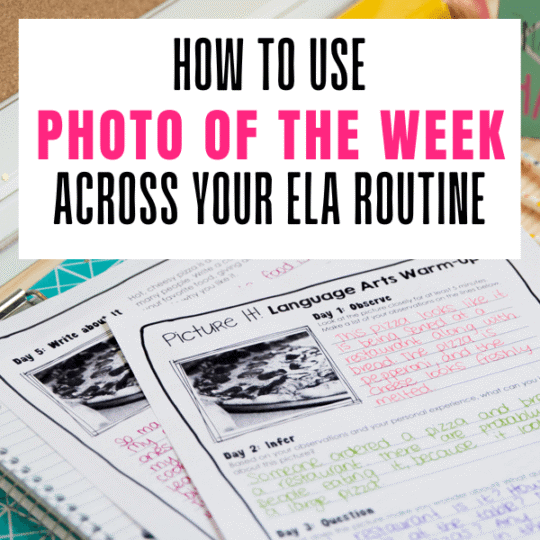 photo of the week