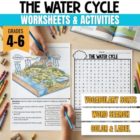 A desk displays a water cycle vocabulary worksheet being colored, a word search, colored pencils, and text advertising “The Water Cycle Worksheets & Activities” for grades 4-6, featuring vocabulary sorts, word search, and color & label activities.