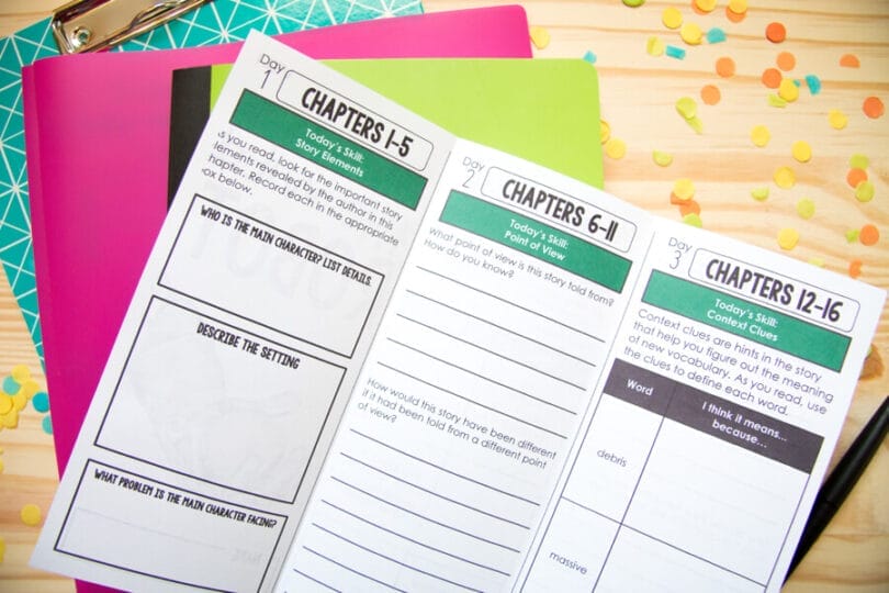 IMG 3266 The Wild Robot Novel Study